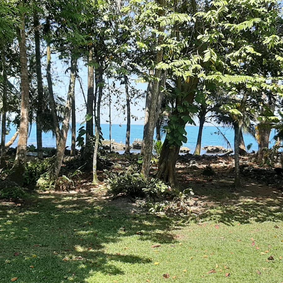 Cahuita Inn Luaran gambar