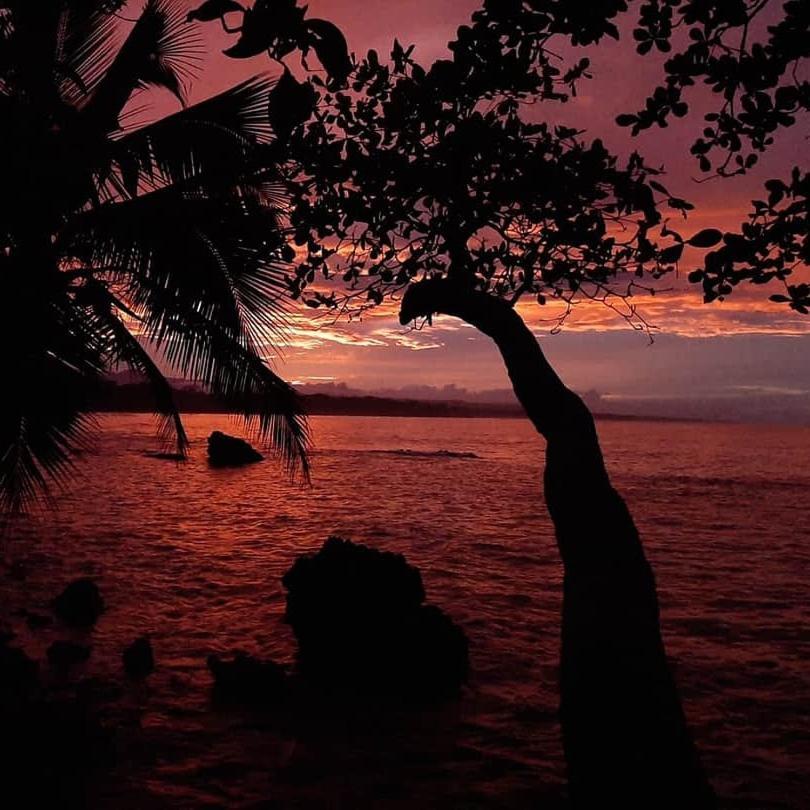 Cahuita Inn Luaran gambar