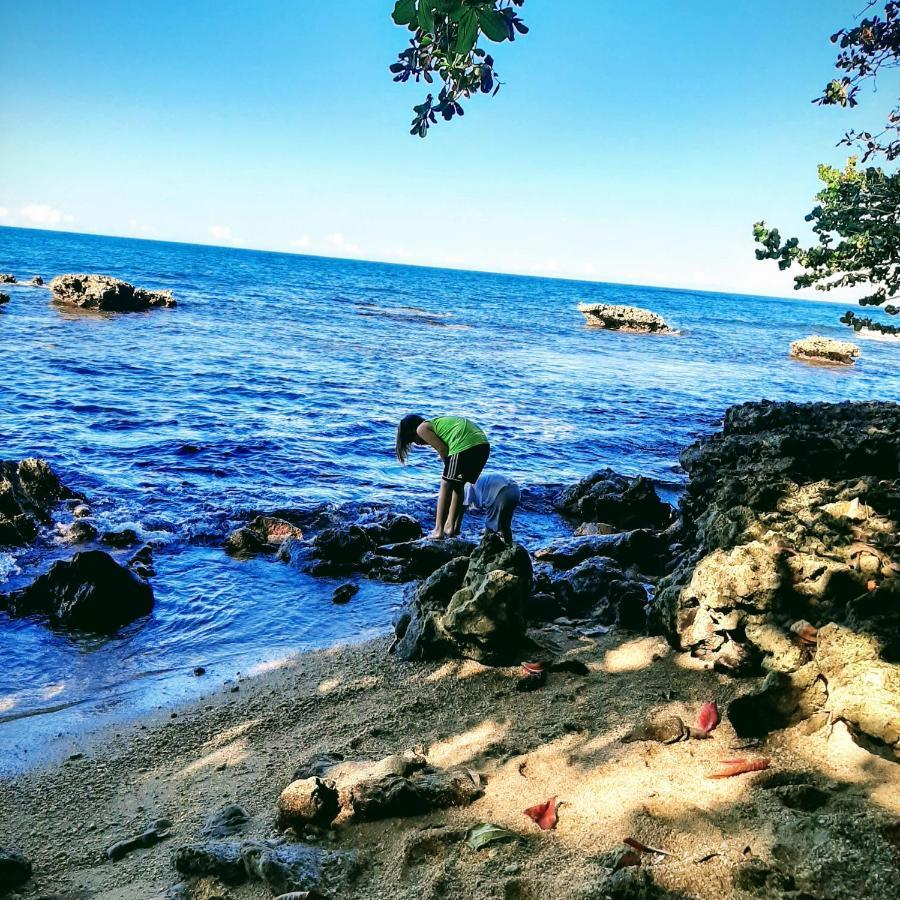 Cahuita Inn Luaran gambar